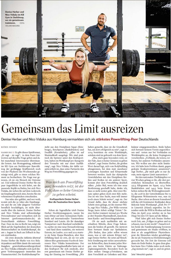 Abendblatt Artikel